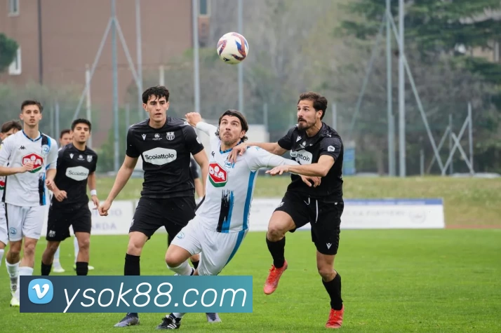 耀世娱乐官网服务体系